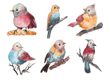 Sevimli küçük kuş kümesi. Beyaz izole zemin üzerine suluboya resim