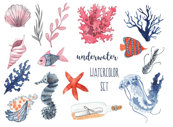 Unterwasser Aquarell Set Muscheln Korallen Seestern Fische Quallen Seepferdchen Und — Stockfoto