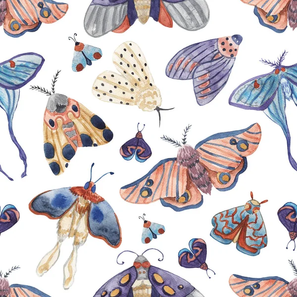 Seamless Pattern Watercolor Moths White Isolated Background — Stock Photo, Image