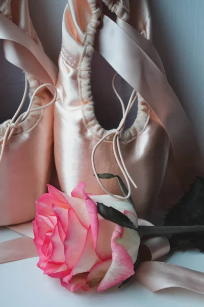 Balettskor Och Rosa Ros — Stockfoto