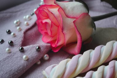 Şekerlemeler ve pembe gül. Sevgililer Günü