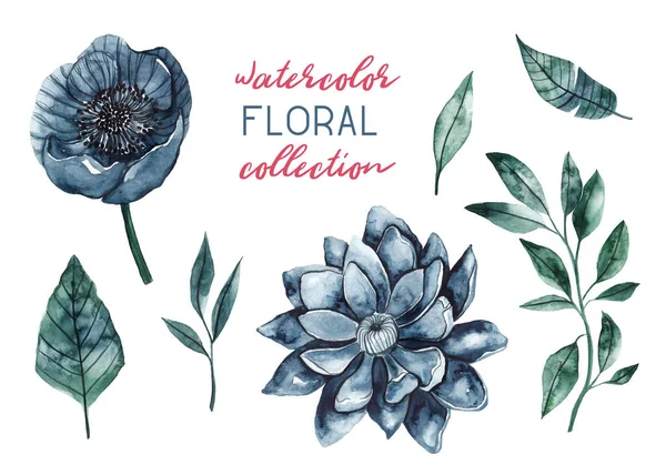 Watercolor Blue Flowers Leaves Collection Floral Watercolor Illustrations White Isolated — 스톡 사진