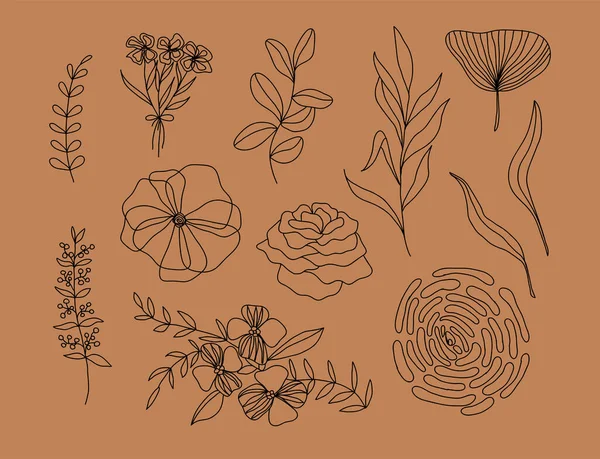 Colecţia Vectorială Lineart Flori Frunze Plante — Vector de stoc