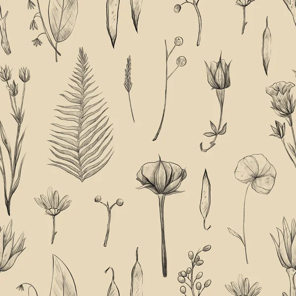 Seamless Pattern Flowers Plants Summer Herbarium Pencil Illustrations Vintage Background — Stock Photo, Image