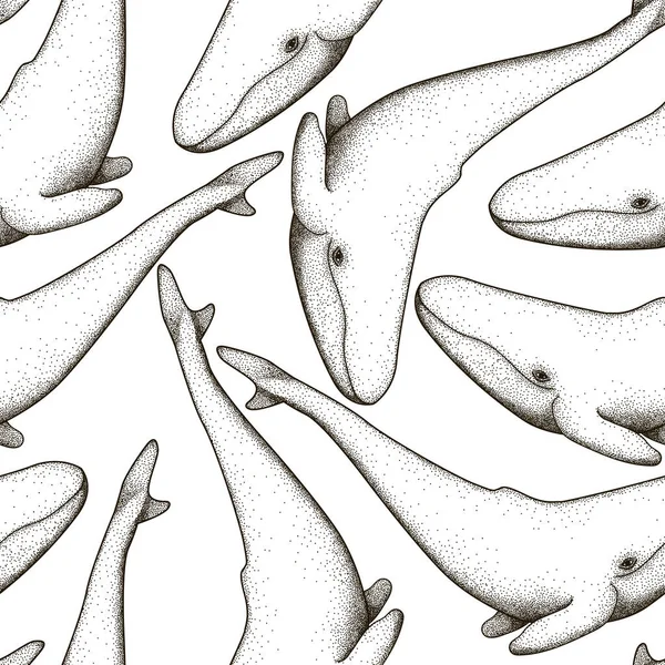 Бесшовный рисунок с китами. Векторная иллюстрация — стоковый вектор