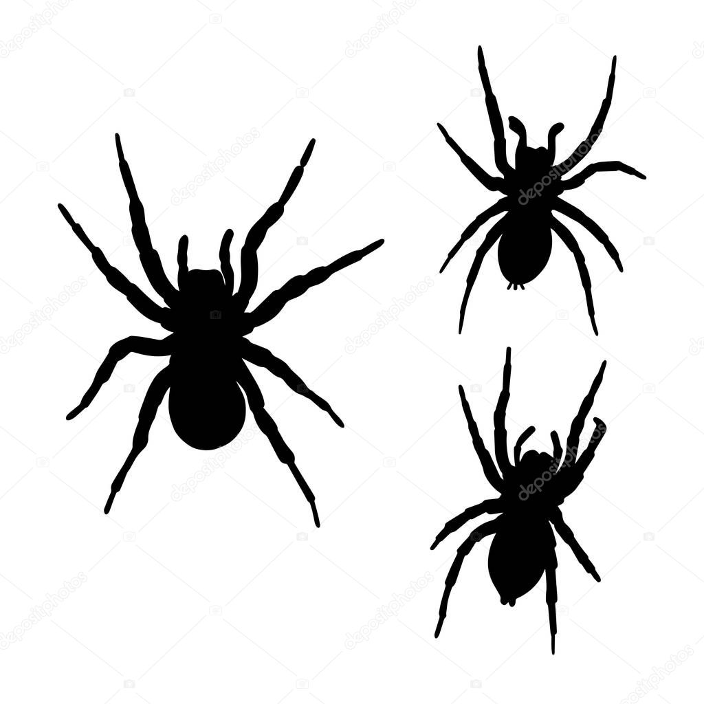 Collection of spiders silhouettes isolated on white background