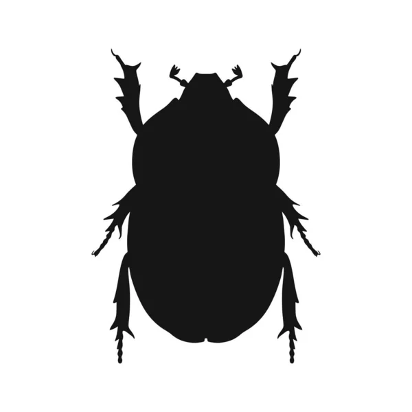 Silueta de insectos. Bosquejo de error aislado sobre fondo blanco — Archivo Imágenes Vectoriales