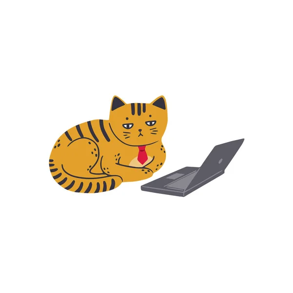 Un chat triste dans une cravate rouge est assis devant un ordinateur portable — Image vectorielle