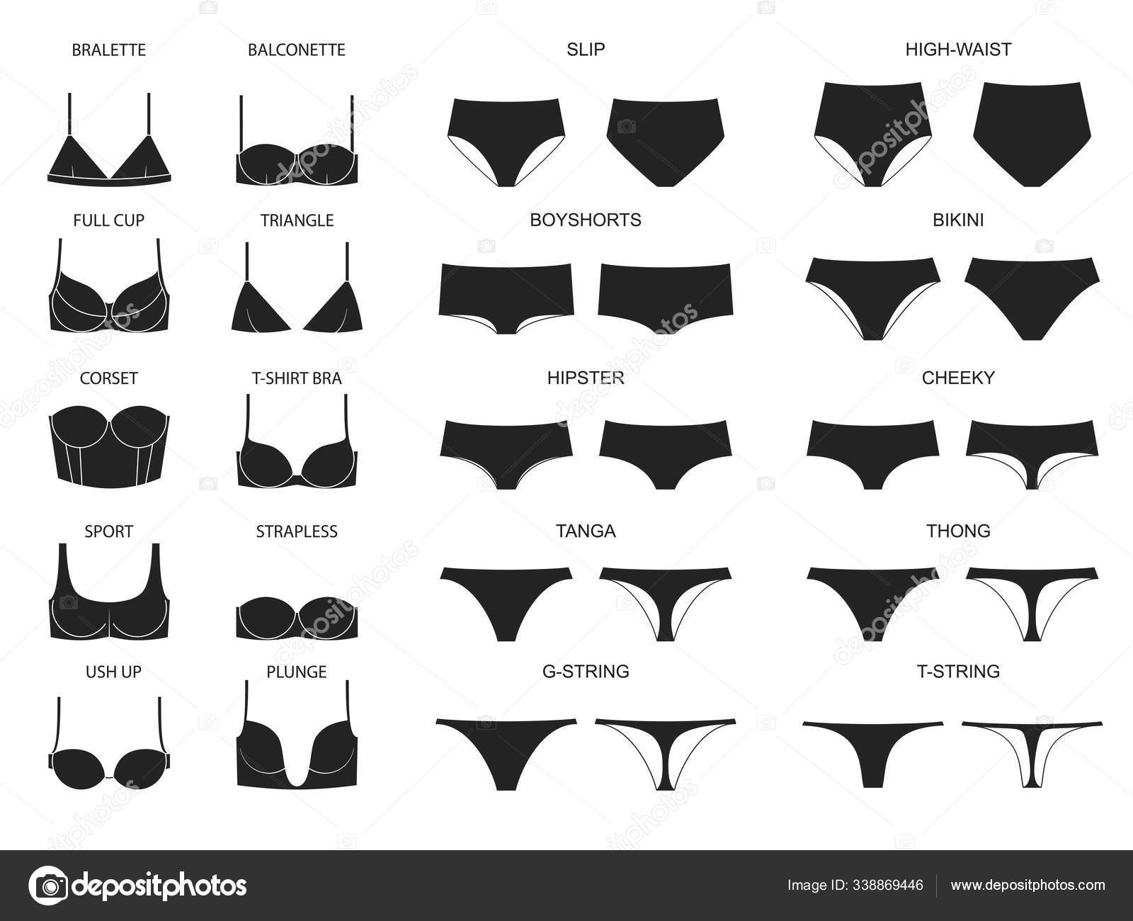 Types of women's panties and bras. Set of underwear Stock Vector