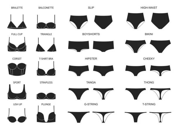 Types Women's Panties Bras Set Underwear Vector Illustration Stock