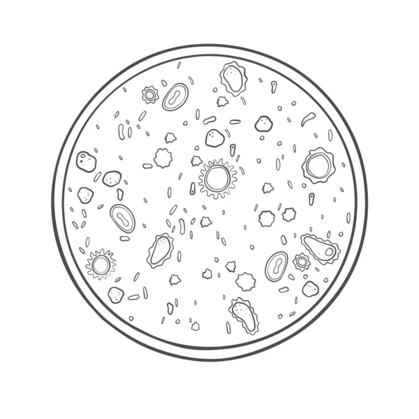 Virus y bacterias en una placa de Petri. Ilustración vectorial — Vector de stock