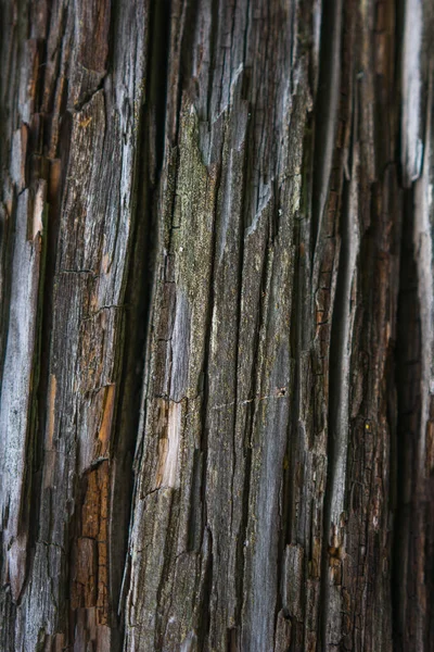 Текстура старого рушащегося дерева — стоковое фото