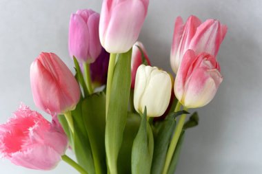 Bahar gri bir arka plan üzerinde çiçekler