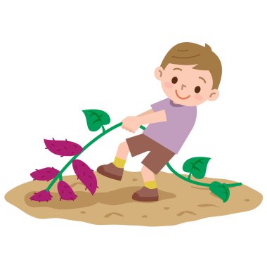 Çocuğa bir tatlı patates kazma