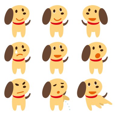 Köpek poz set