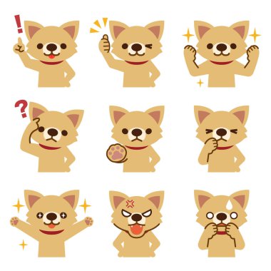 Köpek bir görünüm kümesi