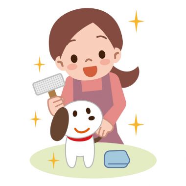 Genç bayan bir köpek fırçalama