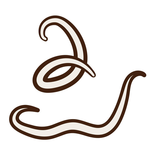 Illustration of parasite