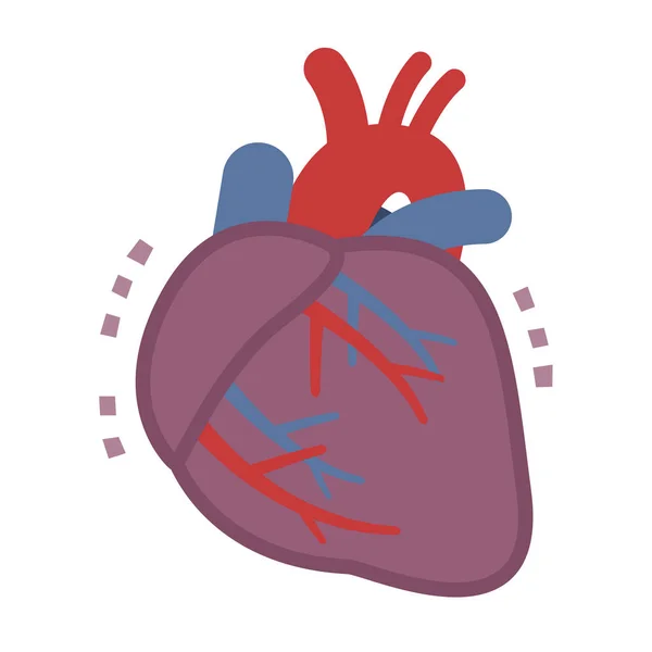 Εικονογράφηση των ανθυγιεινών καρδιά — Διανυσματικό Αρχείο