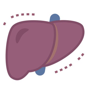 Hasta karaciğer çizimi