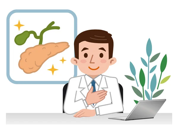 Médico explicando el páncreas y la vesícula biliar — Vector de stock