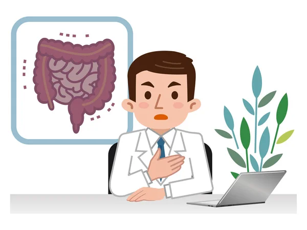 Médico explicando o intestino grosso e intestino delgado —  Vetores de Stock