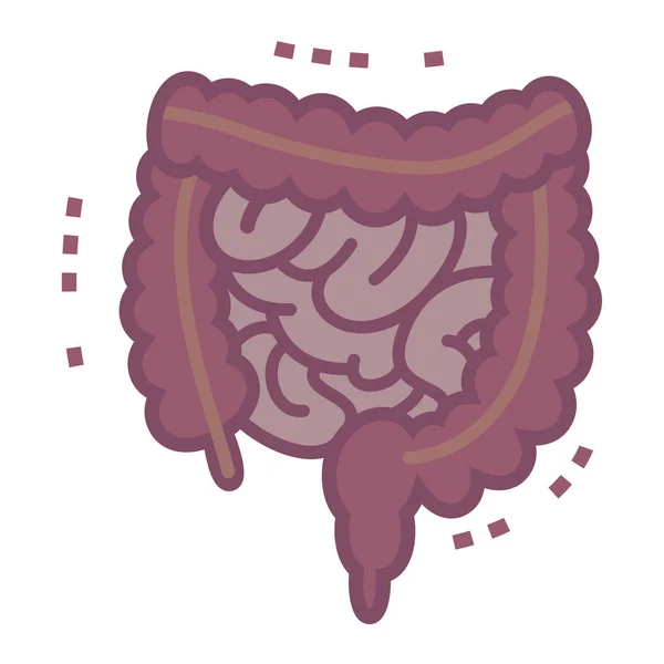 Illustratie van de dikke darm en dunne darm — Stockvector