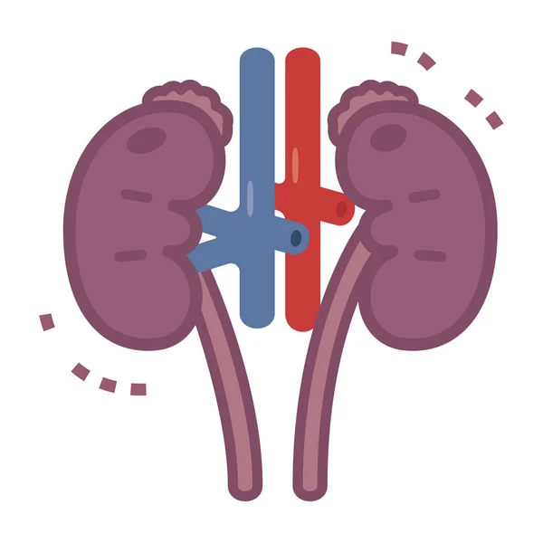 Illustration of sick kidney — Stock Vector