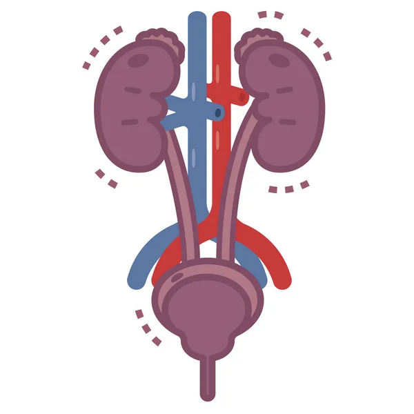 生病的泌尿外科的插图 — 图库矢量图片