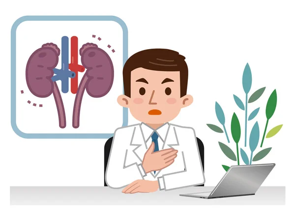 Doctor explaining the sick kidney — Stock Vector