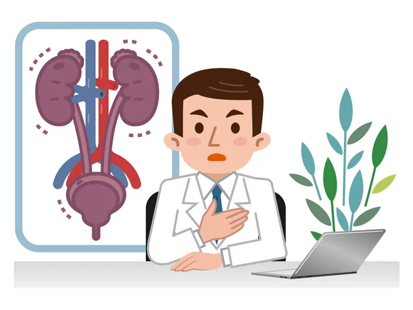 Médico explicando urología enferma — Archivo Imágenes Vectoriales