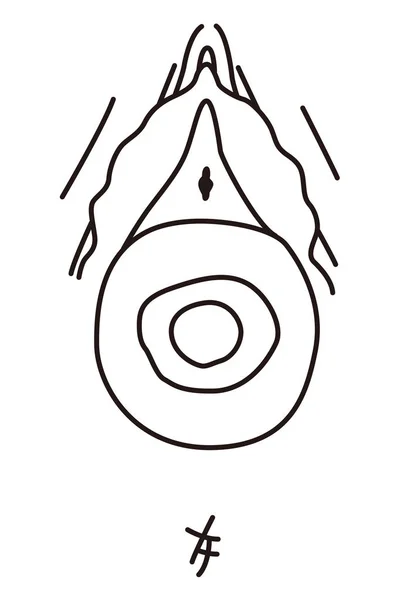 Female external genitalia diagram