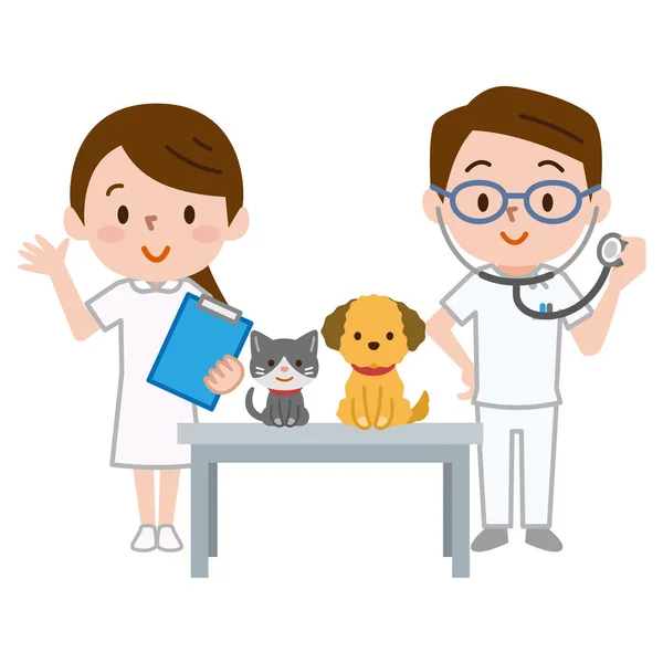 Veterinario y enfermero que consultan mascotas — Vector de stock