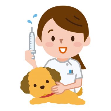 Şırınga ile hayvan hastalıklarıyla ilgili