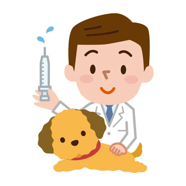 Veterinarian with syringe — Stock Vector