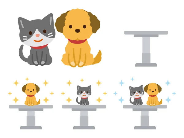 Cão e gato na mesa de exame —  Vetores de Stock