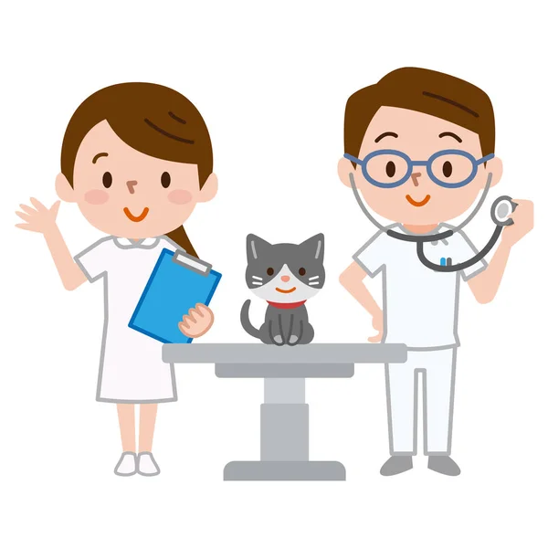 Veterinario y gato — Vector de stock