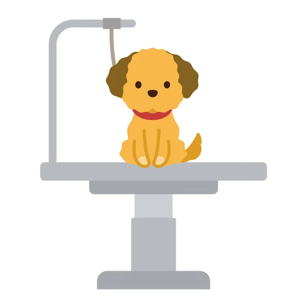 Perro en mesa de corte de pelo — Vector de stock