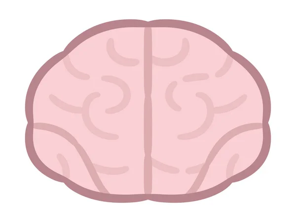 Ilustracje Mózgu Białym Tle — Wektor stockowy