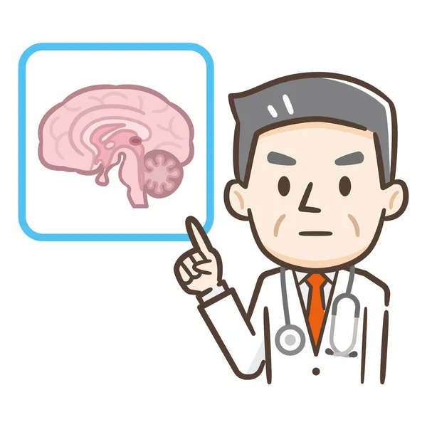 Αρσενικός Γιατρός Στην Ιατρική Εξήγηση Εγκέφαλος — Διανυσματικό Αρχείο