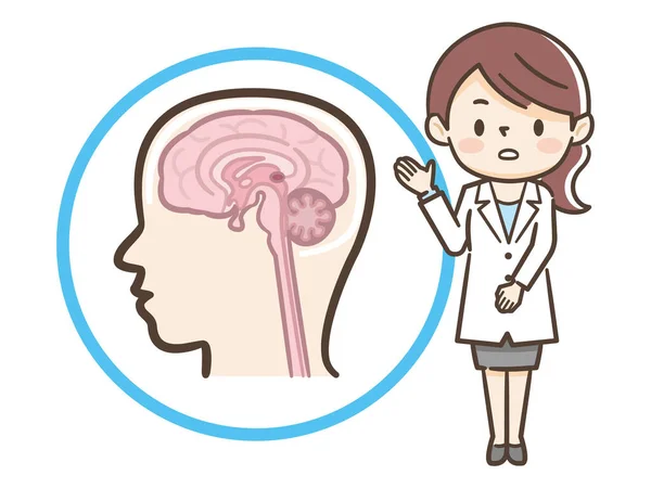 Female Doctor Medical Explanation Brain — Stock Vector