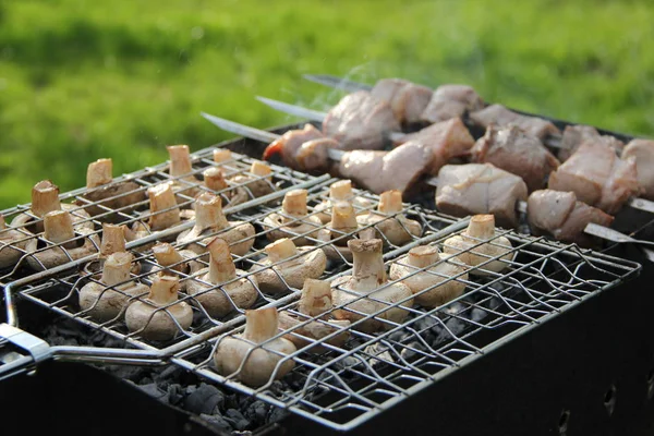 Barbekü: ızgara mantar ve ızgara etler