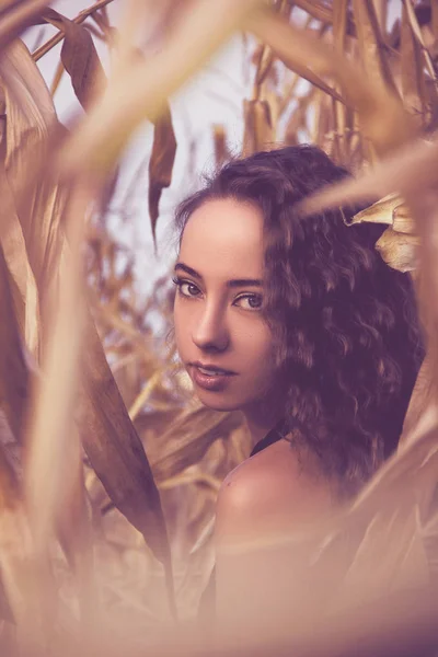 Mısır alanında genç kadın Güzellik Portresi