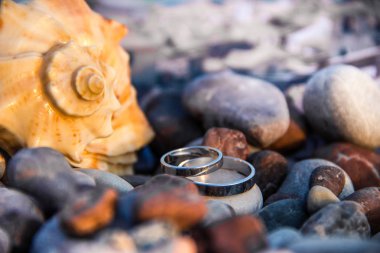 Altın alyans seashell taş bir plajda yakınındaki çifti. Kapat