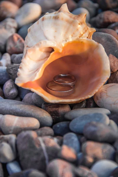 Düğün altın çifti bir taş plajda seashell halkalar. Ver