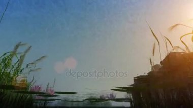 üzerinden su üstünde için sualtı kamera hareket ettiğinde göl kıyısı 3D animasyon