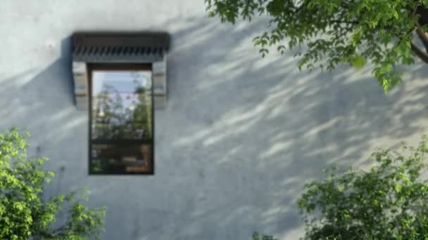 Animação 3d de folhas verdes voando pela janela de perto — Vídeo de Stock