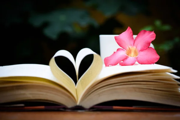 Otwórz książkę ze strony kształt serca — Zdjęcie stockowe