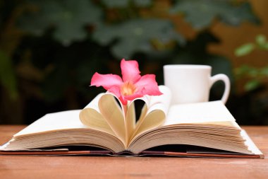 Kalp şekli sayfa ile açık kitap