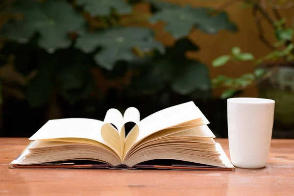 Buch mit herzförmiger Seite öffnen — Stockfoto